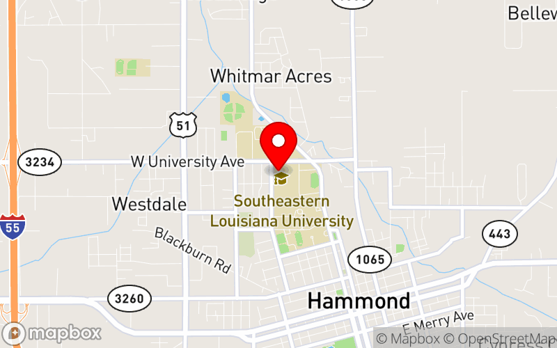 Map for Social Work CEU: Threading the Needle through Depression and Anxiety is Not SEW Easy! Responding Professionally and Delicately to Mental Health at 500 W University Ave, Hammond, LA 70401, USA Map for Social Work CEU: Threading the Needle through Depression and Anxiety is Not SEW Easy! Responding Professionally and Delicately to Mental Health at 500 W University Ave, Hammond, LA 70401, USA