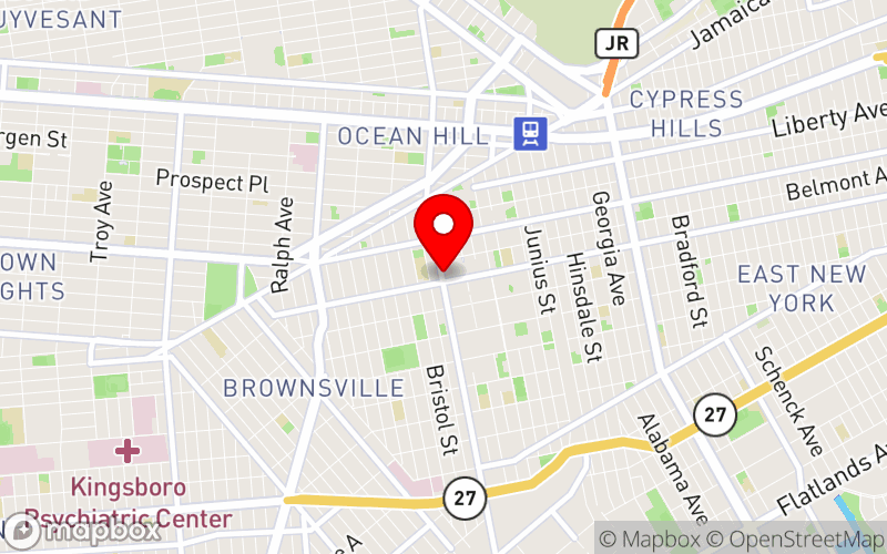 Map for Inaugural Perinatal Mental Health Summit 2025 at 519 Rockaway Avenue, Brooklyn, NY 11212 Map for Inaugural Perinatal Mental Health Summit 2025 at 519 Rockaway Avenue, Brooklyn, NY 11212