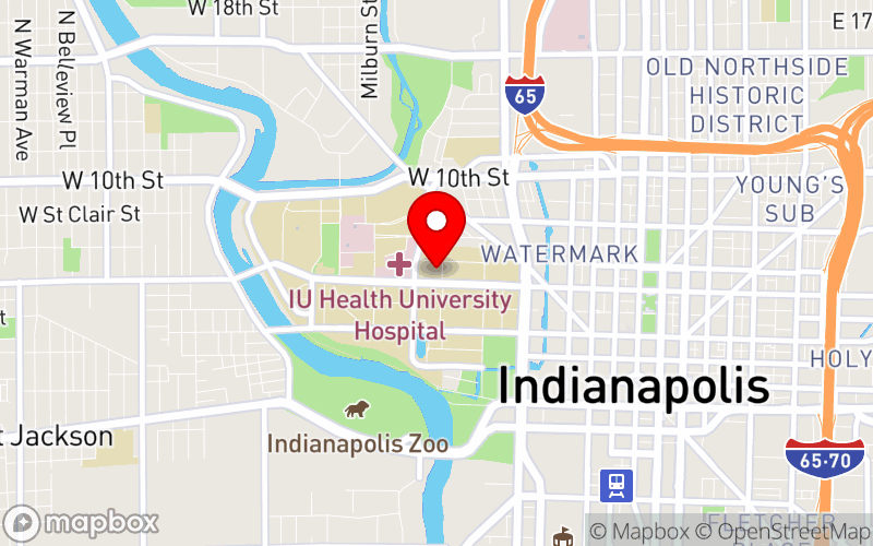 Map for 2026 International Health Humanities Consortium Conference: Health Justice at 875 W North St, Indianapolis, IN